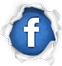 follow us in facebook